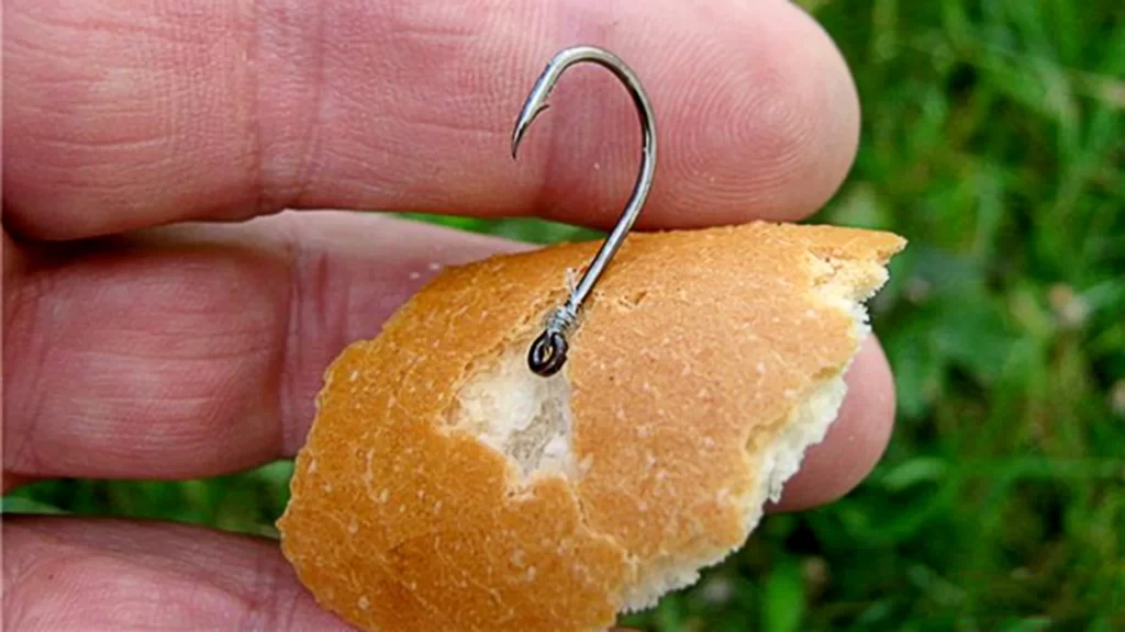 fishing with bread